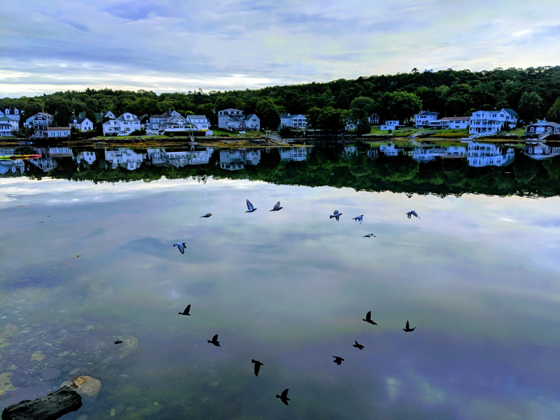 Dick Morrison's photo of birds flying over Boothbay Harbor received the most votes to win the April #LCNme365 photo contest. Morrison will receive a $50 gift certificate to Newcastle Chrysler Dodge Jeep Ram Viper, the sponsor of the April contest.