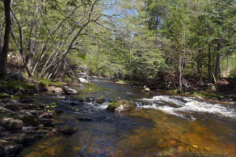 Water cascades down the Sheepscot River off the Patricktown Trail on the Palermo Preserve. (Paula Roberts photo)