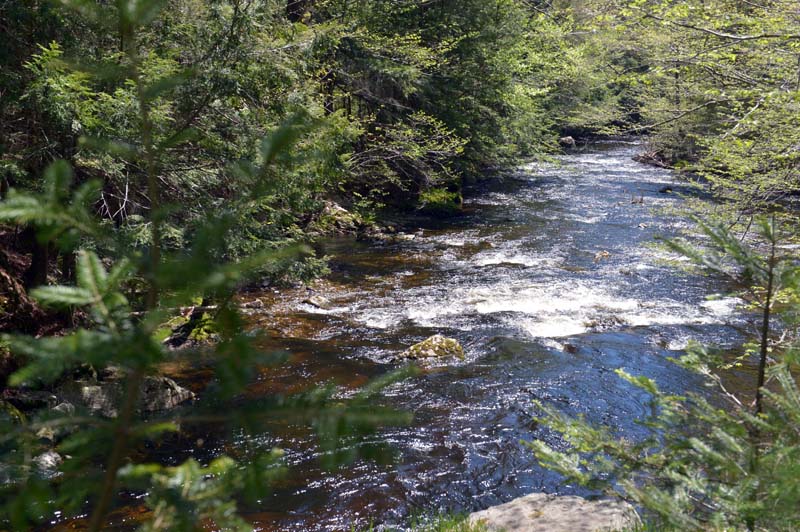 Looking down on the Sheepscot River from the top of an old bridge abutment on Palermo Preserve. (Paula Roberts photo)