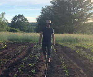 Farmer Alex Beaudet of Pemaquid Falls Farm checks on field crops.