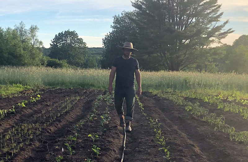 Farmer Alex Beaudet of Pemaquid Falls Farm checks on field crops.