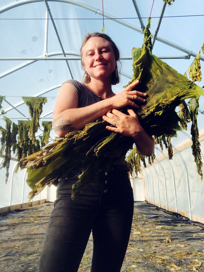 Swell Seaweeds owner Sarah Wineberg Thorpe holds sugar kelp. She dries the kelp after harvest, which makes it shelf-stable for at least a year. (Photo courtesy Sarah Wineberg Thorpe)