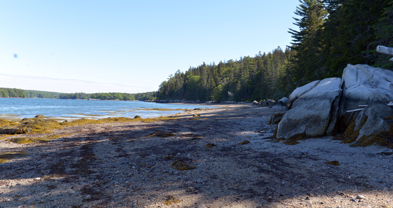 Sand Beach from the West Side Trail on Hog Island. (Paula Roberts photo)