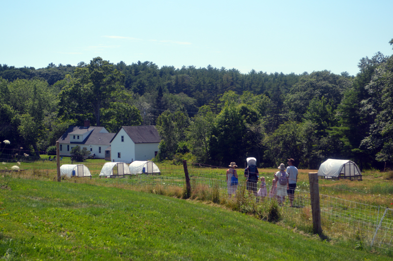 Families explore livestock pastures during a self-guided tour of Broad Arrow Farm in Bristol on Maine Open Farm Day, Sunday, July 26. (Alyce McFadden photo)