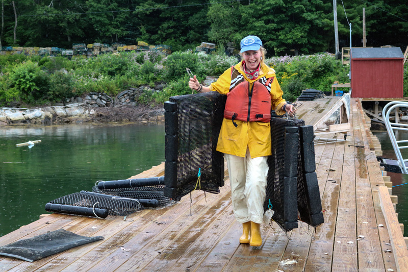 Essie Martin carries oyster cages on a wharf in Bremen. The Newcastle resident plans to earn a master's degree in aquaculture, then pursue a doctorate in oceanography. (Photo courtesy Essie Martin)