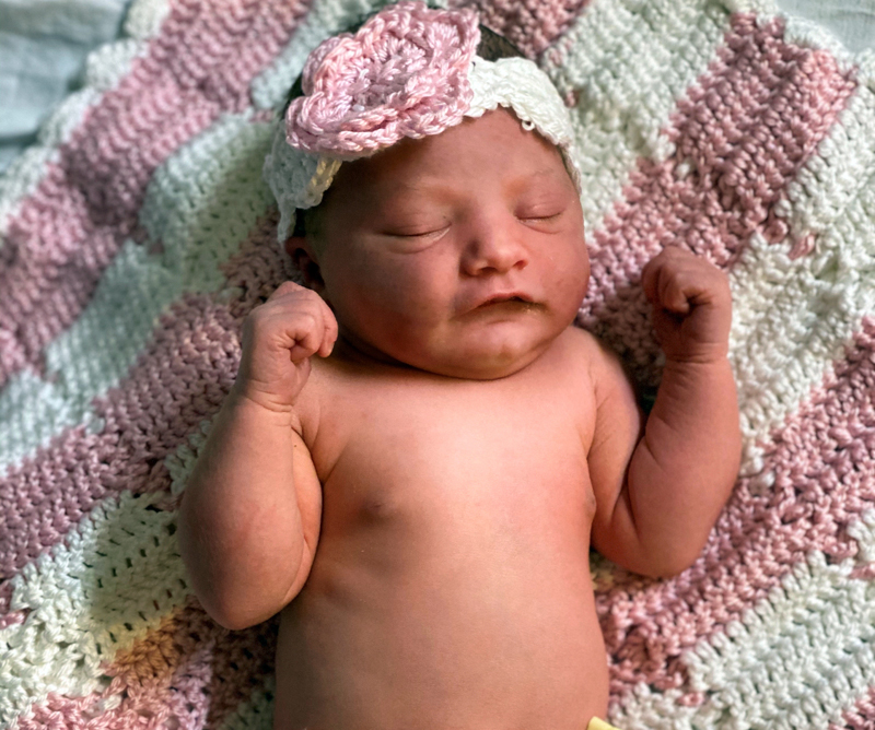 Paisley Nova Chapman