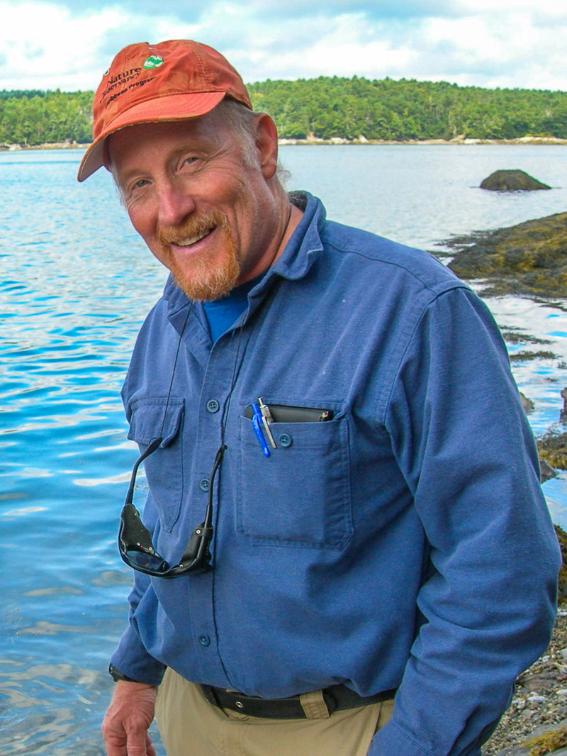 Dr. Robert Steneck explores the shores of the Damariscotta River. He will provide a webinar on climate impacts to the lobster industry on July 10.