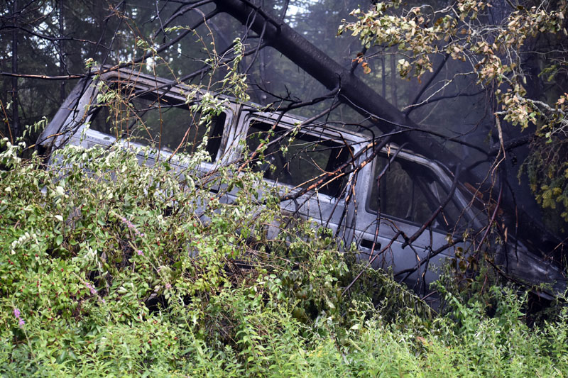 A tree down on top of a Chrysler Town & Country minivan in woods off Route 235 in Waldoboro, near the Warren town line, Monday, Aug. 10. The van caught fire after the crash. (Alexander Violo photo)