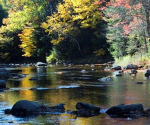 The Whitefield Salmon Preserve now includes 1.7 miles of protected riverfront on the Sheepscot River which support Atlantic salmon habitat, filter water, and store carbon to slow climate change. (Photo courtesy Tim Libby)