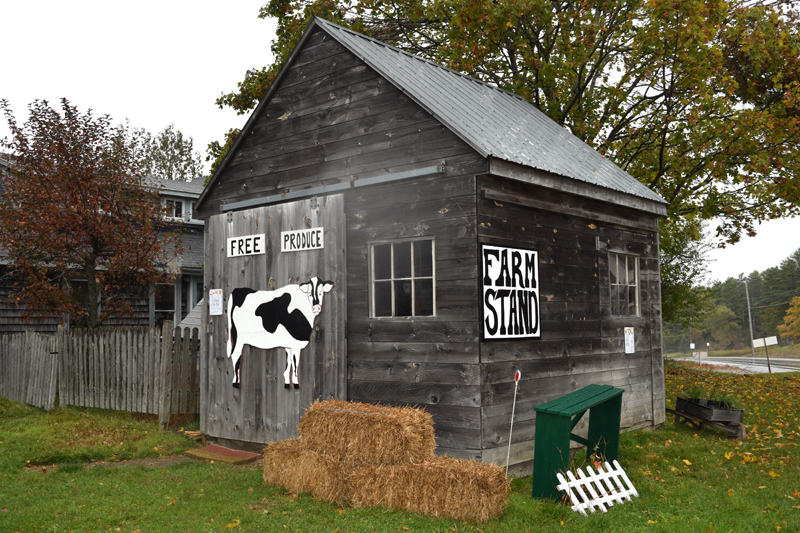 The Take-What-You-Need Farm Stand at The Morris Farm in Wiscasset is open seven days a week. (Hailey Bryant photo)