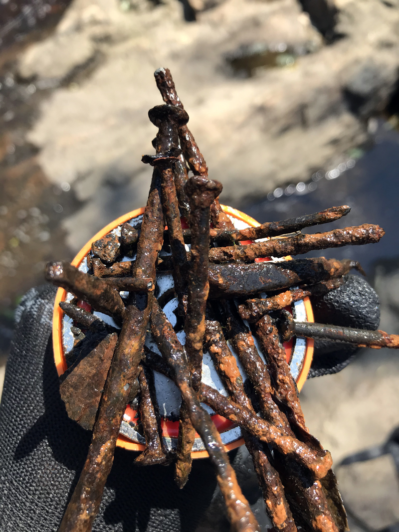 Nails caught and removed from the Sheepscot River. (Photo courtesy Lee Emmons)