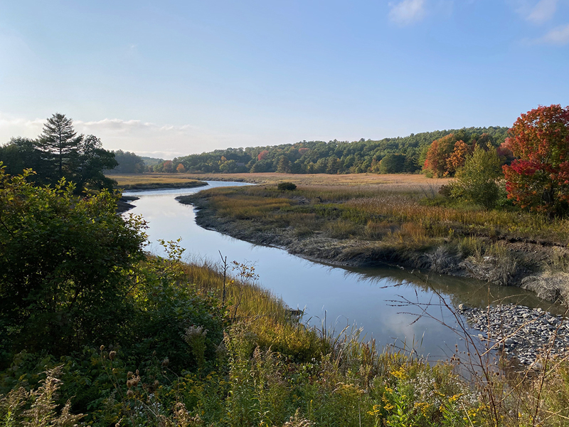 Escape to Serenity:  Exploring the Wonders of East River Marsh Wildlife Management Area