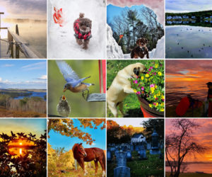 The 12 monthly winners of the 2020 #LCNme365 photo contest.