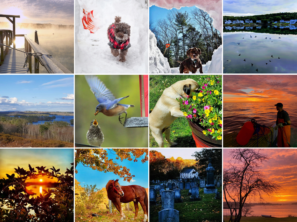 The 12 monthly winners of the 2020 #LCNme365 photo contest.