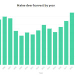 2020’s Deer Harvest Highest in 18 Years