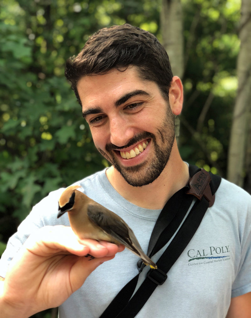 Cory Elowe with a Cedar Waxwing. The bird was captured and released with all the necessary permits for bird population research, Elowe said.