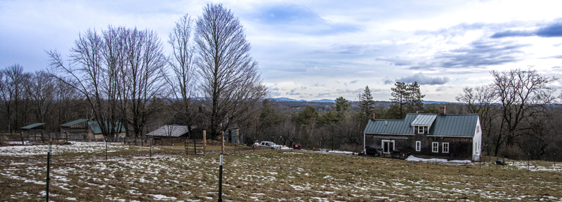 The Camden Hills can be seen from Briggs Farm in  Somerville on Jan. 17. Corey and Alicia O'Connell bought the property because they found the acreage they wanted at an affordable price -- the view was a bonus. (Bisi Cameron Yee photo)