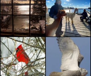 The four weekly winners of the February #LCNme365 photo contest. Voting for the monthly winner opened at noon, Wednesday, Feb. 17 and will close at 5 p.m., Monday, Feb. 22.