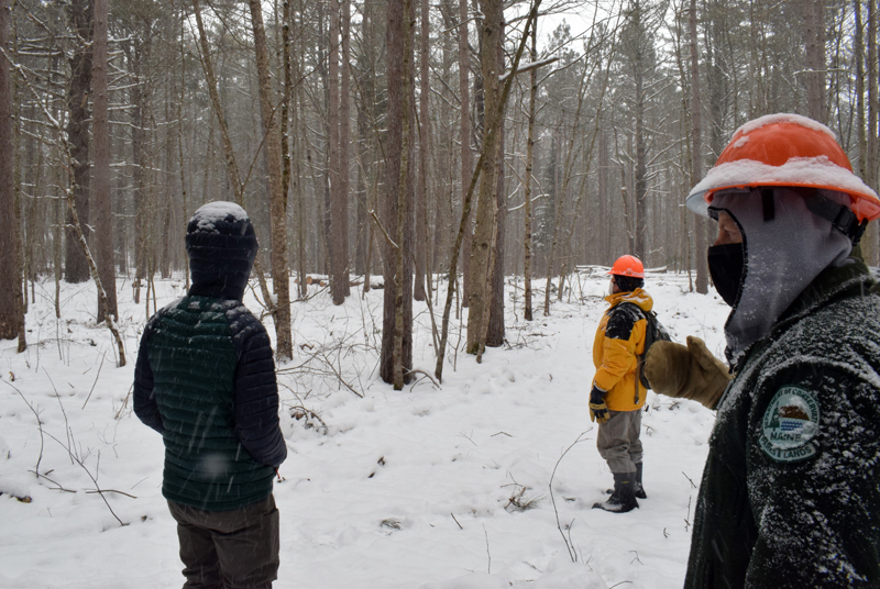 Stephen Richardson, senior forest engineer with the Maine Bureau of Parks and Lands (right), points out an area of forest at Dodge Point Public Reserved Land in Newcastle that has been selectively timber harvested during a tour of the operation on Tuesday, Feb 10. (Evan Houk photo)