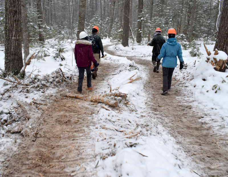 People walk on a logging road during a tour of the timber harvest operation at Dodge Point Public Reserved Land in Newcastle Tuesday, Feb. 10. (Evan Houk photo)