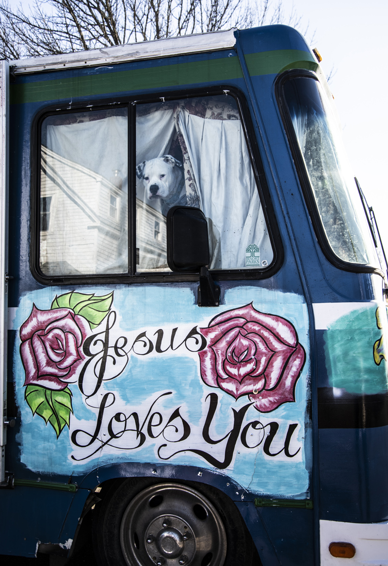 One of three dogs looks out the window of the Guererros' traveling home in Waldoboro on Jan. 23. (Bisi Cameron Yee photo)