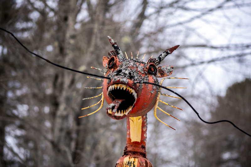 A metal dragon greets visitors to Nate Nicholls' recycled art garden in Waldoboro on Feb. 5. (Bisi Cameron Yee photo)