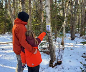 Boothbay Region Land Trust is offering a self-guided winter tree ID hike at Cross River Preserve throughout the month of February.