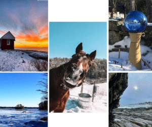 The five weekly winners of the March #LCNme365 photo contest. Voting for the monthly winner opened at noon, Wednesday, March 24 and will close at 5 p.m., Monday, March 29.