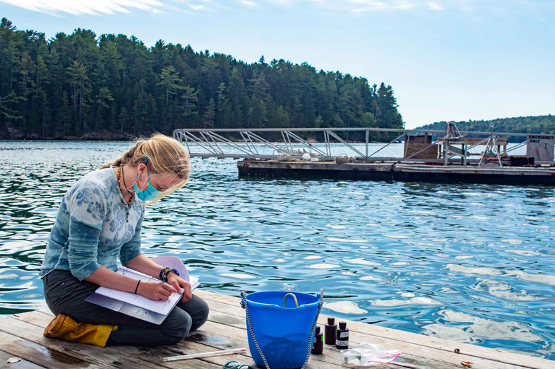 Darling Marine Center student researcher Essie Martin, of Newcastle, collects water samples at the center's pier in Lowes Cove. (Photo courtesy Darling Marine Center)