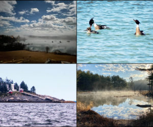 The four weekly winners of the April #LCNme365 photo contest. Voting for the monthly winner opened at noon, Wednesday, April 21 and will close at 5 p.m., Monday, April 26.