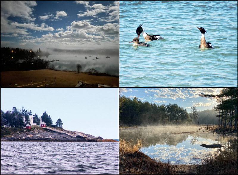 The four weekly winners of the April #LCNme365 photo contest. Voting for the monthly winner opened at noon, Wednesday, April 21 and will close at 5 p.m., Monday, April 26.