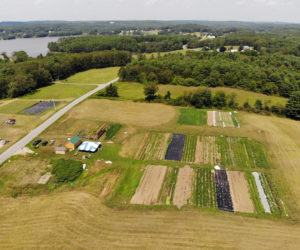 An aerial photograph of Coastal Rivers Salt Bay Farm from 2018 shows Twin Villages Foodbank Farms fields and Chapman Field and Forest. (Photo courtesy Tom Field)