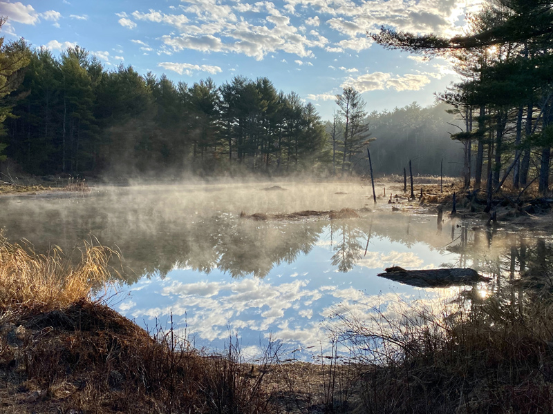 Germaine Waltz's photo of a beaver pond from her home in Jefferson won the April #LCNme365 photo contest. Waltz will receive a $50 gift certificate to Renys, the sponsor of the April contest, and a canvas print of her photo courtesy of Mail It 4 U, of Newcastle.