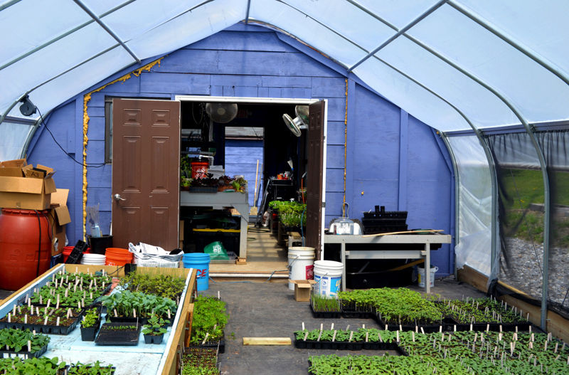 The recently installed hoop house has increased the space for seedlings at Whitefield Elementary School. (Nettie Hoagland photo)