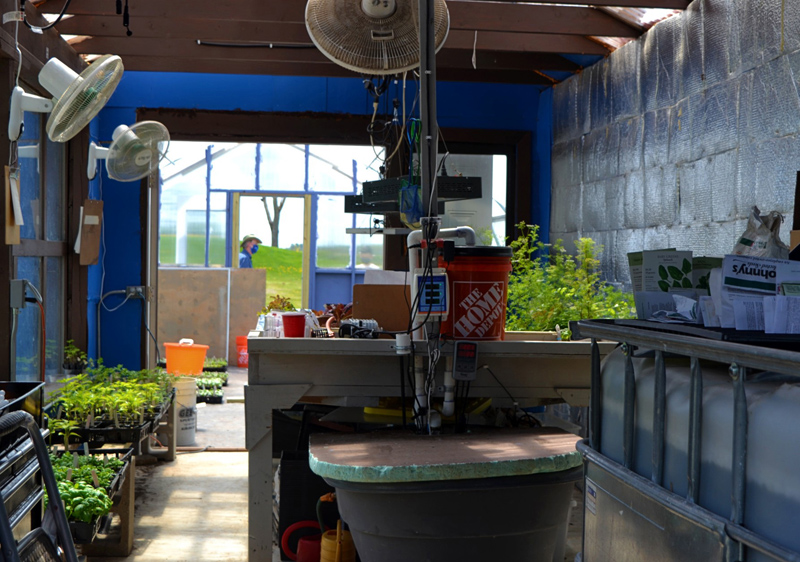 At Whitefield Elementary School, the Greenhouse maintains the school's appendix system.  (Photo by Netie Hogland)