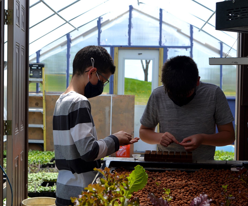 Seventh grade students Donovan Thompson (left) and Benjamin Sullivan (right) count lettuce seeds to plant using the Whitefield Elementary School's aquaponics system. (Nettie Hoagland photo)