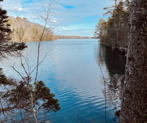 Looking out on Bradstreet Cove in South Bristol. The woods on the right are part of Coastal Rivers Conservation Trust's Capt. Robert Spear Preserve in South Bristol, a gift from Beth Fisher and family.