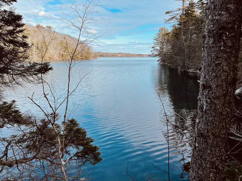 Looking out on Bradstreet Cove in South Bristol. The woods on the right are part of Coastal Rivers Conservation Trust's Capt. Robert Spear Preserve in South Bristol, a gift from Beth Fisher and family.
