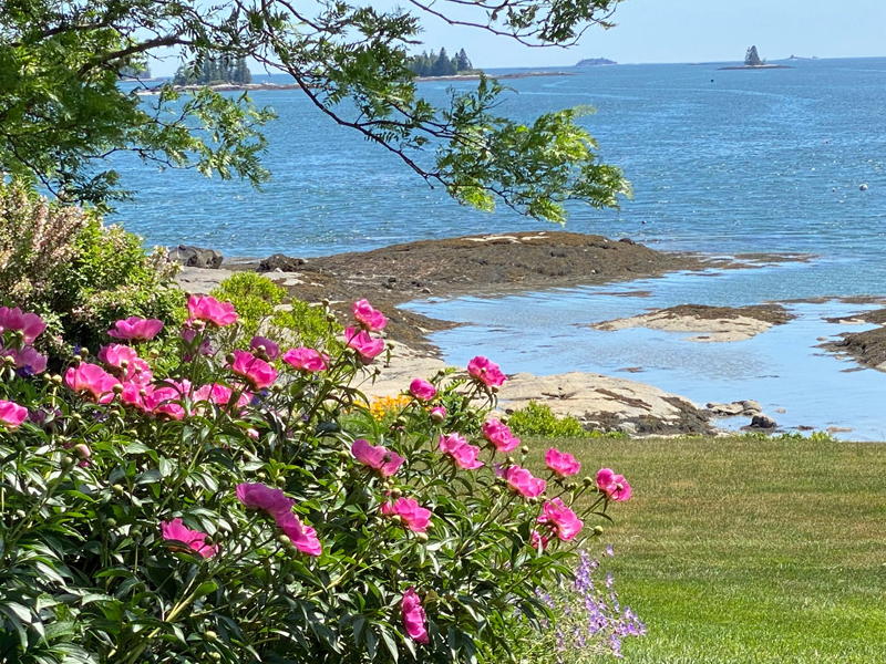 Bremen Library Fundraiser July 8 The Lincoln County News