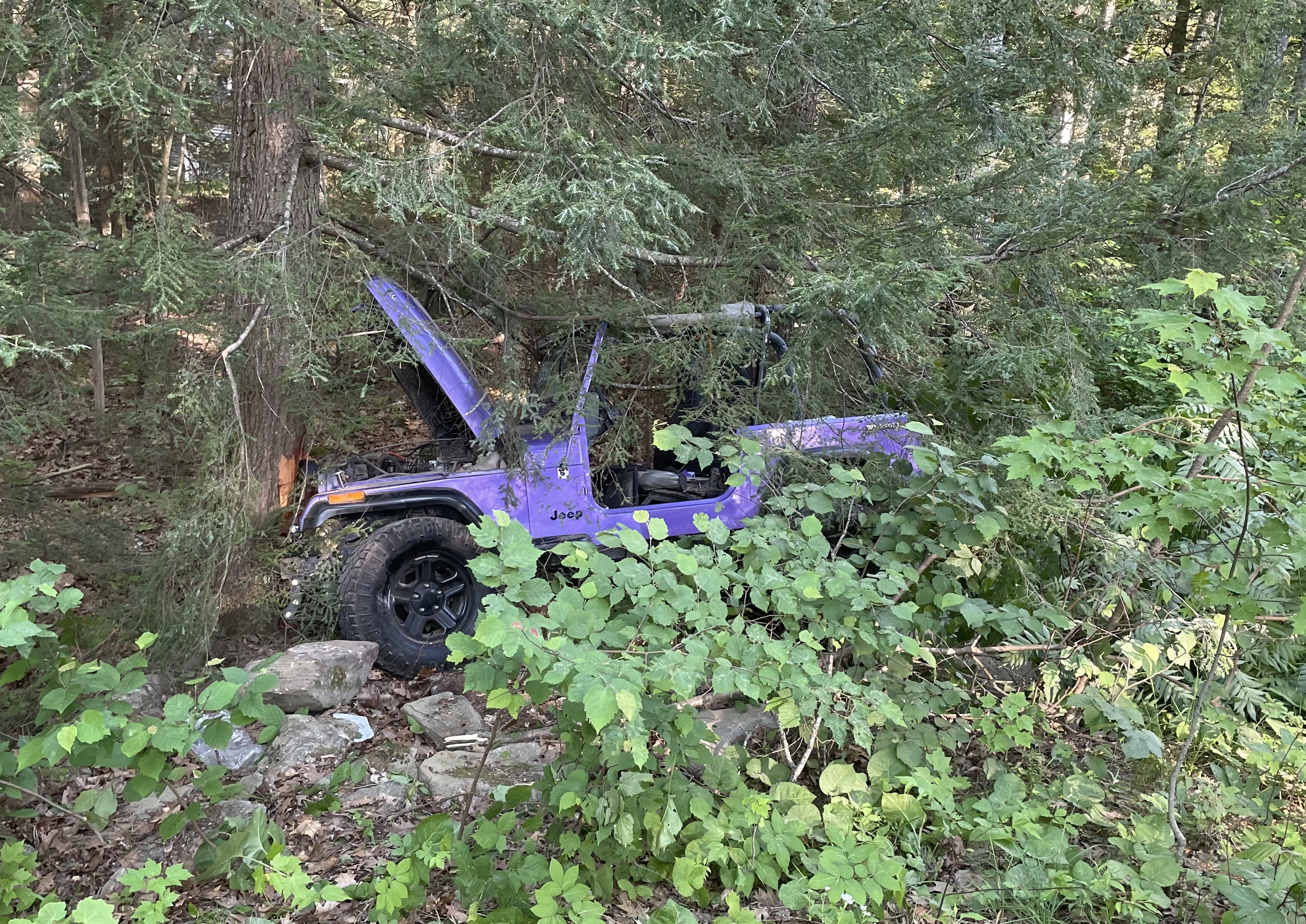 A purple 1989 Jeep Wrangler rests against a tree off Benner Road in Bristol, Saturday, June 12. The driver sustained serious head injuries but appears likely to recover, police said. (J.W. Oliver photo)