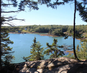 Tracy Shore Preserve features coastal spruce forest and views of Jones Cove in South Bristol.