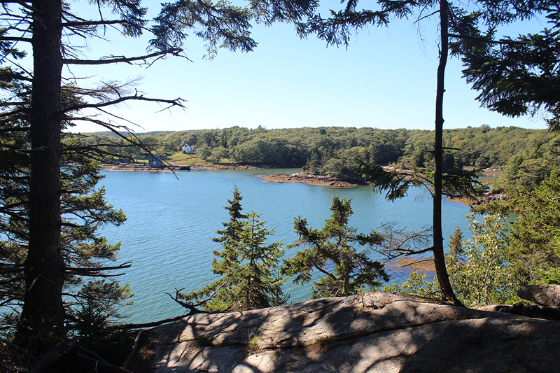 Tracy Shore Preserve features coastal spruce forest and views of Jones Cove in South Bristol.