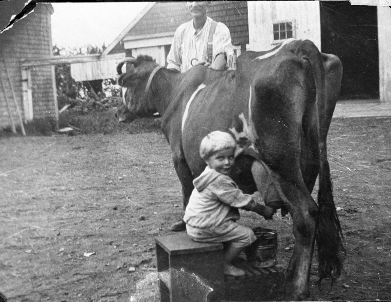 A very young Frank Flagg (born 1922) milks the family cow under the proud eye of his father, Forrest Flagg. This is one of many vintage photos featured in the 2022 edition of the Jefferson Historical Calendars now available.