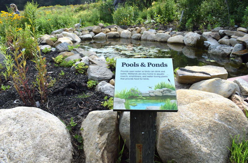 A small pond and a simulated wetland are identified in the Steve Kress Native Plant Wildlife Garden at the Todd Wildlife Sanctuary in Bremen. A garden party was held on Saturday, Aug. 7 to dedicate the garden to Kress, the founder of Project Puffin. (Evan Houk photo)