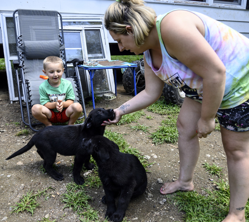 Brittany Genthner and son Sammy, 5, are happy to have their puppies safely home in Jefferson on Friday, July 30. (Bisi Cameron Yee photo)