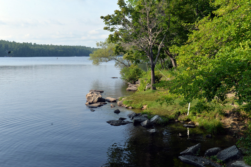 The swimming area in Damariscotta Mills had a recent outbreak of Cyanobacteria last week. Signs warn swimmers to swim at own risk. (Paula Roberts photo)