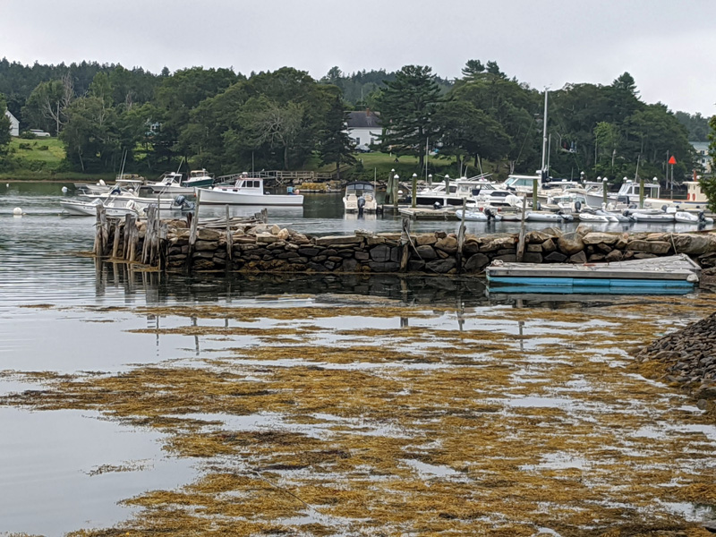 Old Stone Wharf. (Photo courtesy David Andrews)