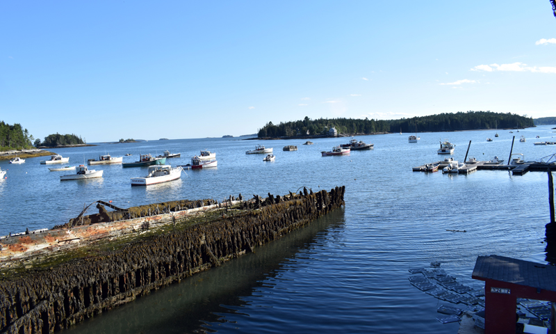 Lobster boats fill the harbor off Community Shellfish, a wholesale seafood dealer in Bremen. Shannon Harvey, a lobsterman who fishes out of Bremen and sits on the Zone D Lobster Council, said of lobstermen "hate" the new rules issued by the National Oceanic and Atmospheric Administration to protect endangered right whales. (Evan Houk photo)