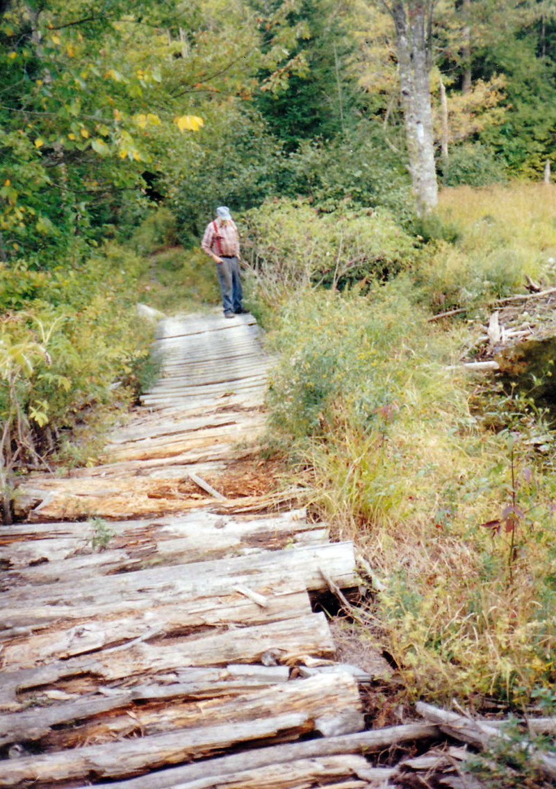 Deer Meadow Brook between East and West Old County roads (Courtesy Arlene Cole)