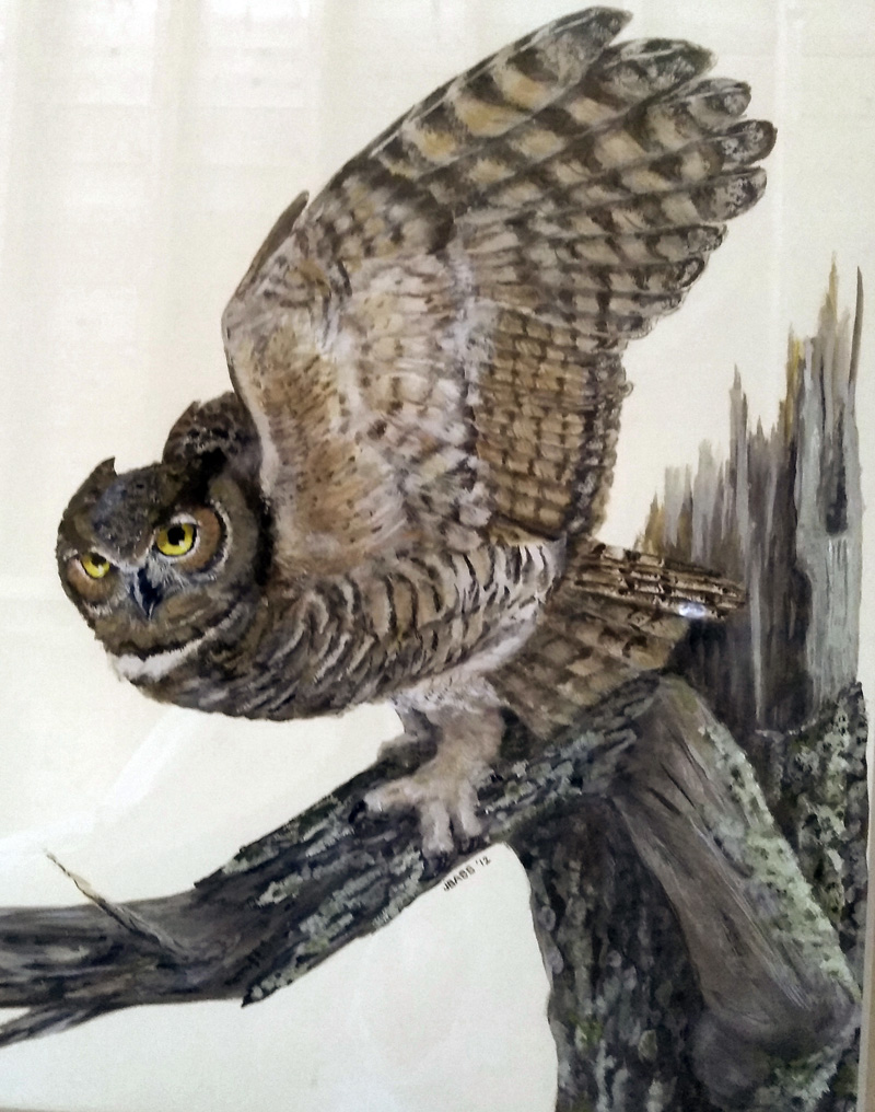 A donated painting of an owl by Julie Babb. All proceeds from sale go toward outreach projects.
